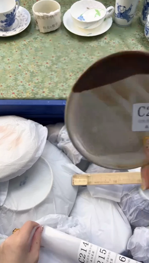 【闪购商品】瓷片          C213