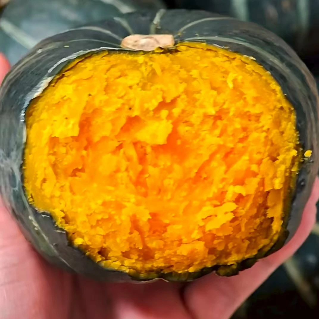 正宗板栗味贝贝南瓜新鲜当季粉糯香甜可作宝宝辅食粗粮