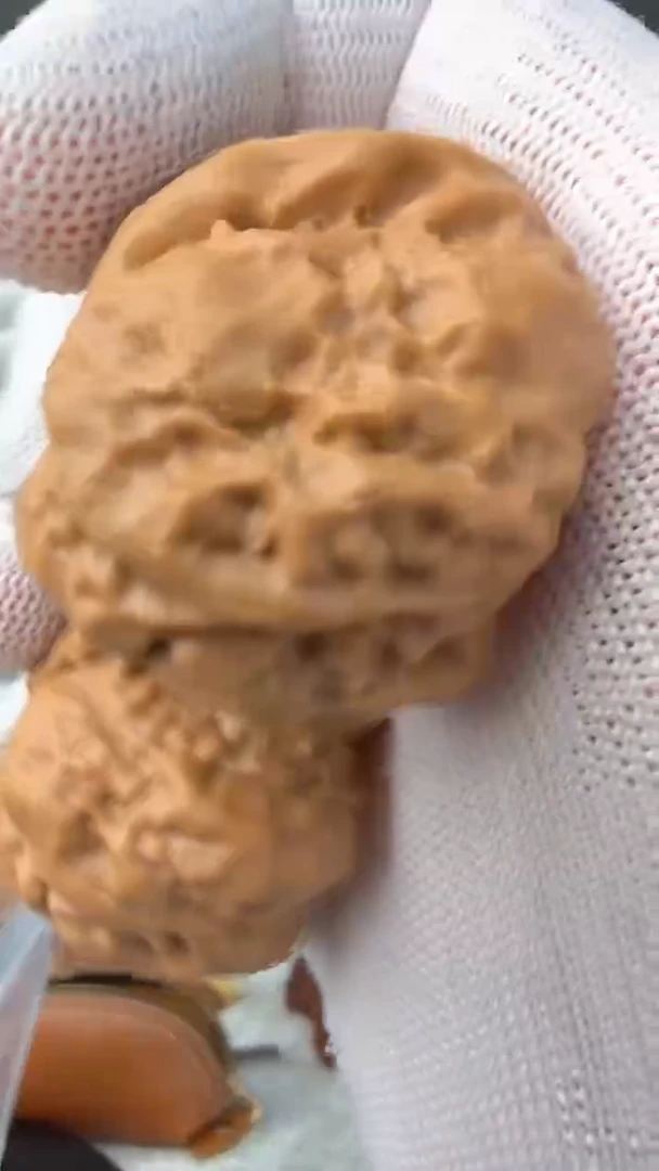 把件龙脊菩提蛤蟆