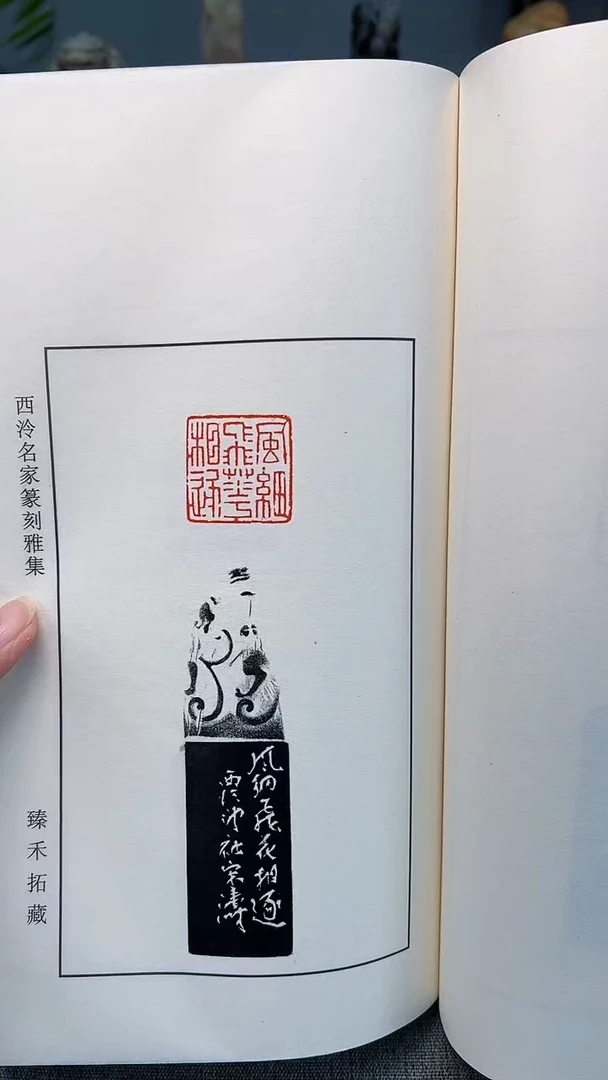 寿山石印石山***客宋涛老师印谱本