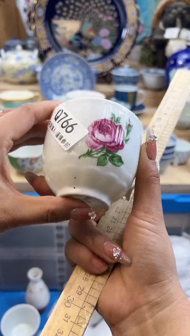 【闪购商品】瓷片766qqqqqqqqqqqq