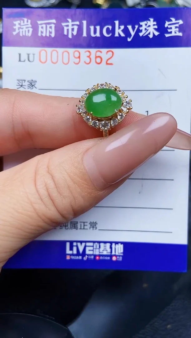 翡翠银S925镶嵌颈饰9362