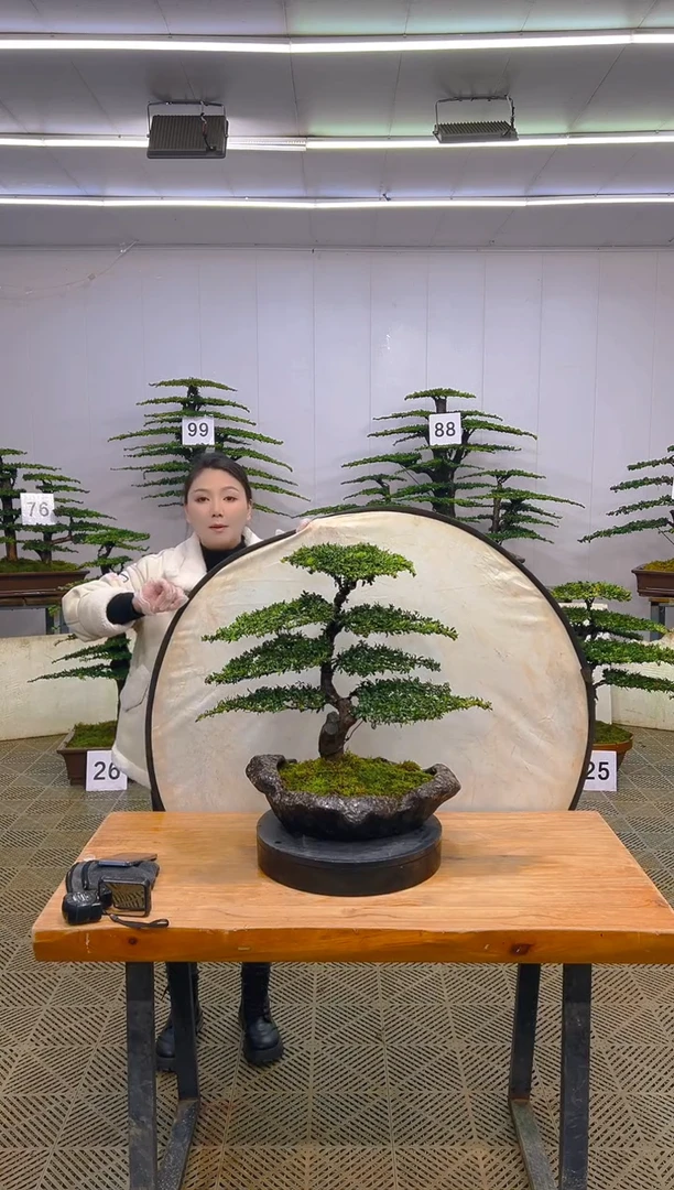 无花朵一物一拍一物一拍