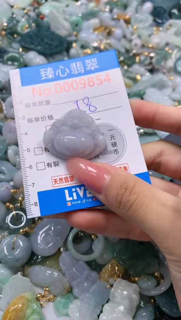 翡翠未镶嵌颈饰9854