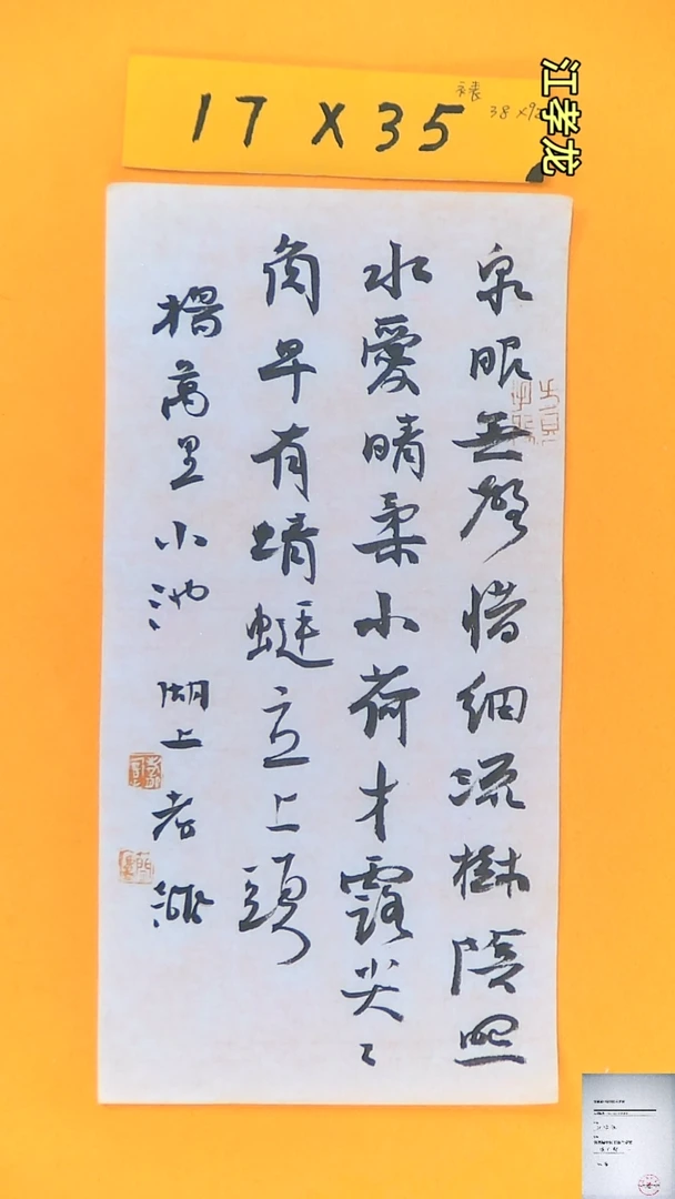 【闪购商品】书法江孝龙获奖同款字体小池17*35