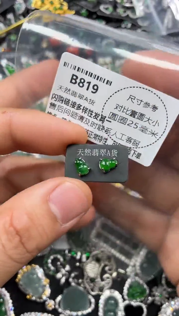 颈饰未镶嵌翡翠B819耳钉