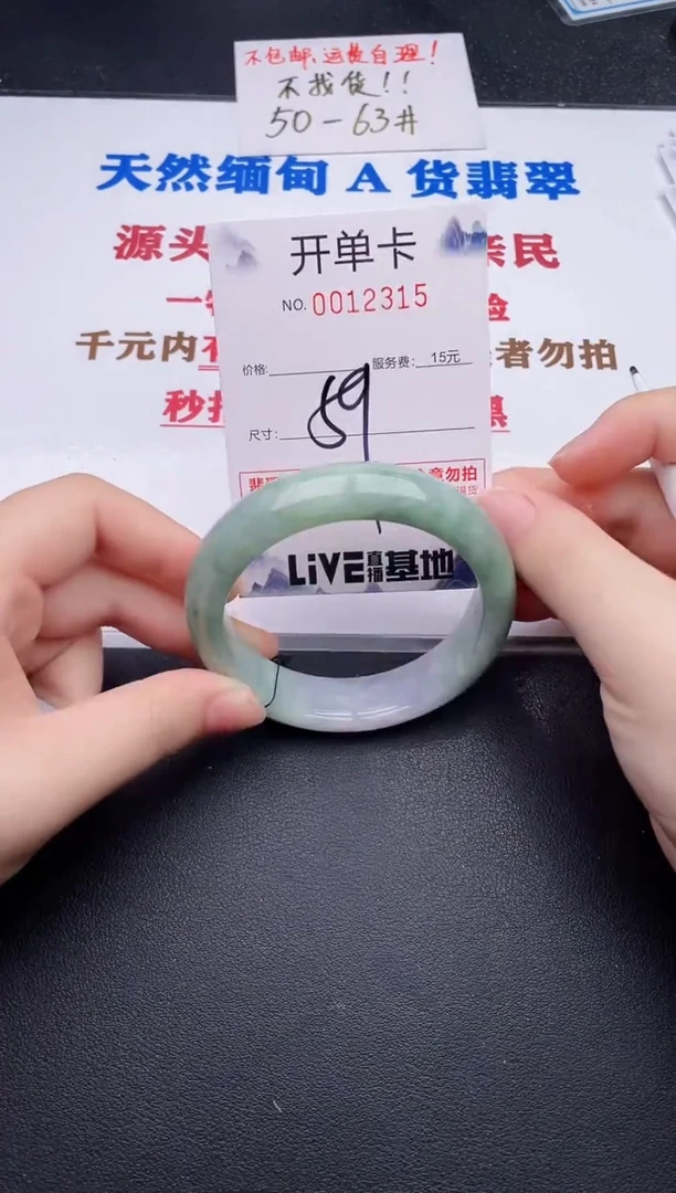 未镶嵌手镯翡翠15
