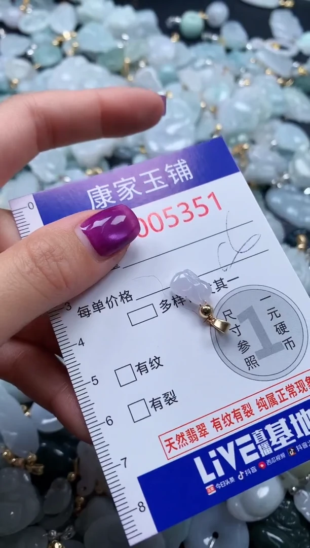 颈饰未镶嵌翡翠5351