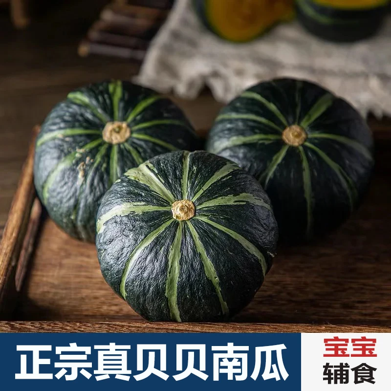 贝贝南瓜香甜细腻板栗味适合孕妇宝宝辅食的正宗真贝贝南瓜板栗味