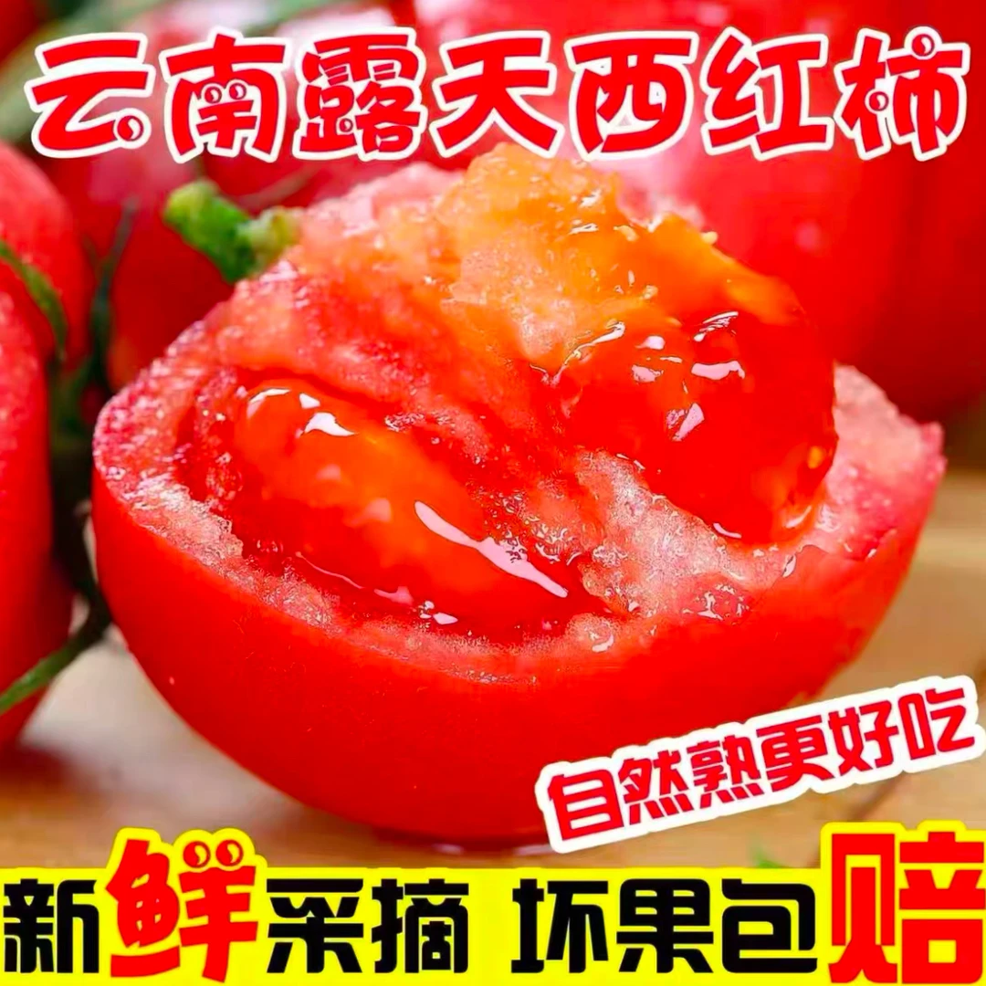 【云南西红柿】自然熟沙瓤小番茄新鲜现摘蔬菜生吃水果