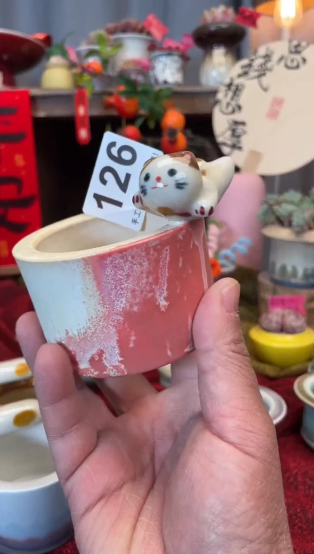 【闪购商品】摆件126知木小芳花盆