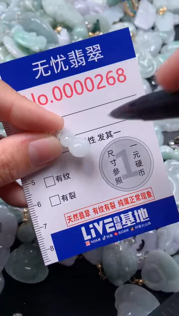 颈饰未镶嵌翡翠268