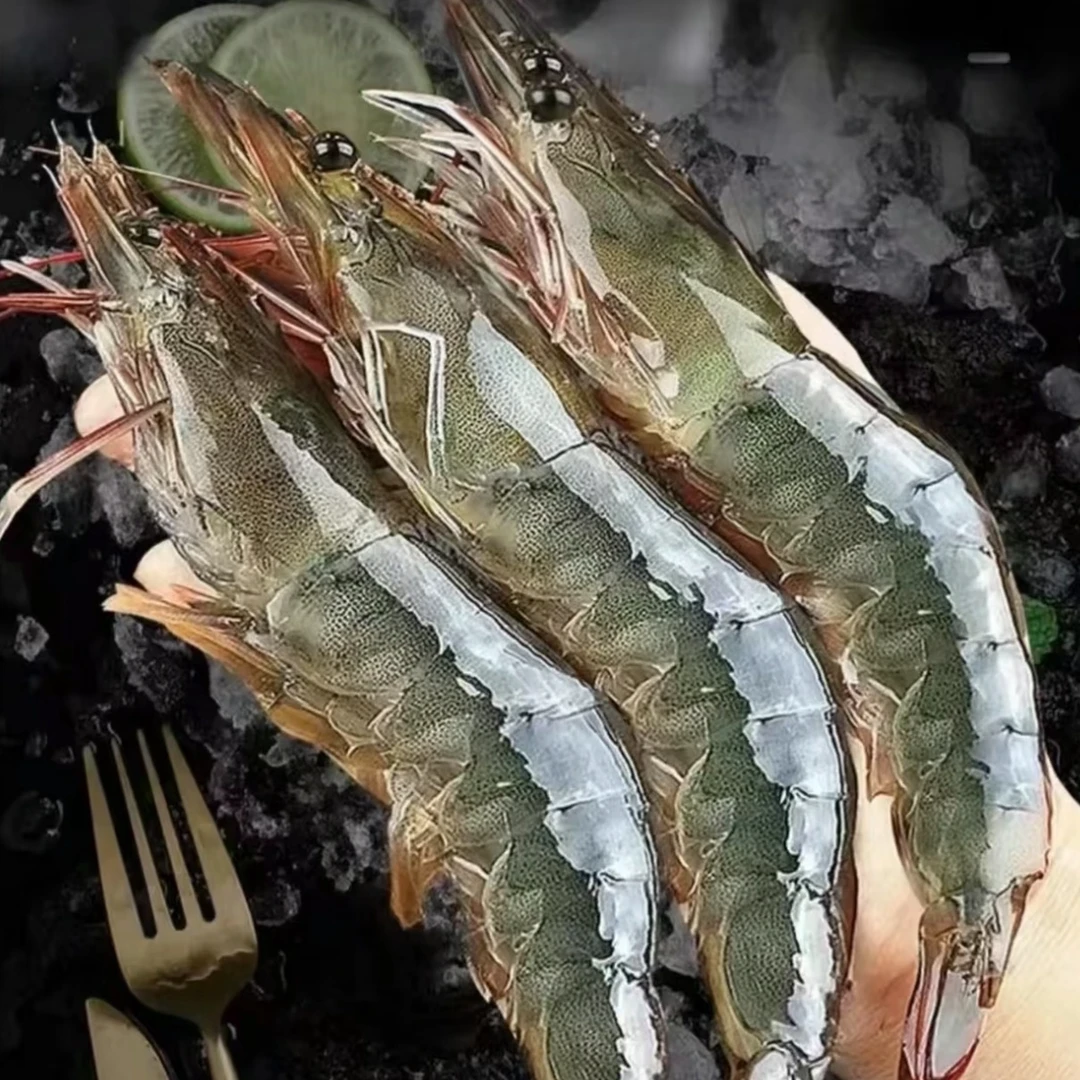 DT【海水大虾4斤】肉质Q弹鲜嫩海水大虾 单只15-18cm 4斤一盒 50-60只