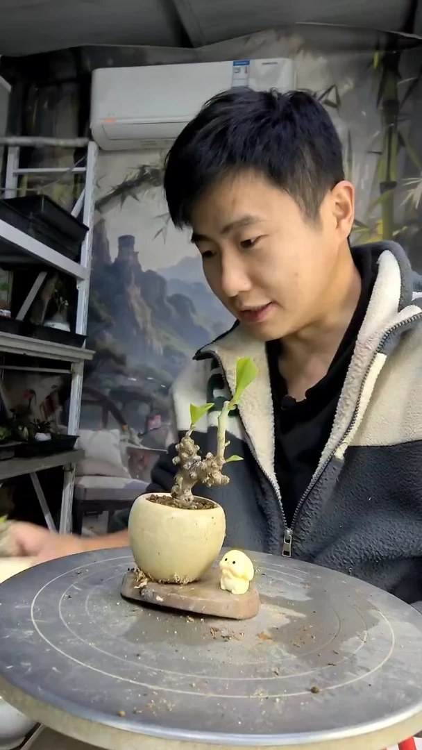 听*中青园艺一物一拍83
