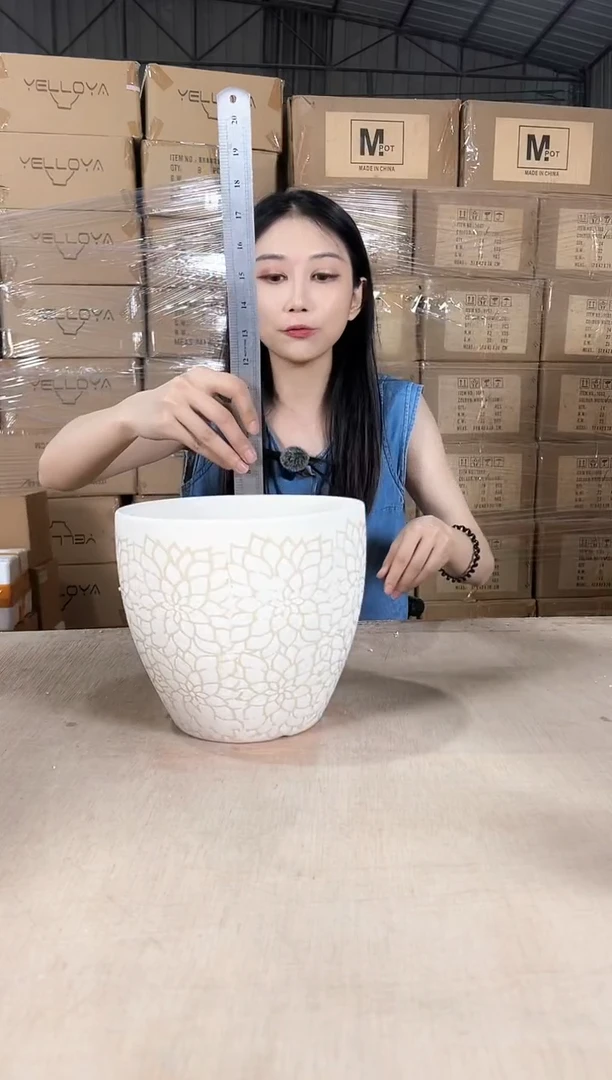 橄榄缩点花中号21x19