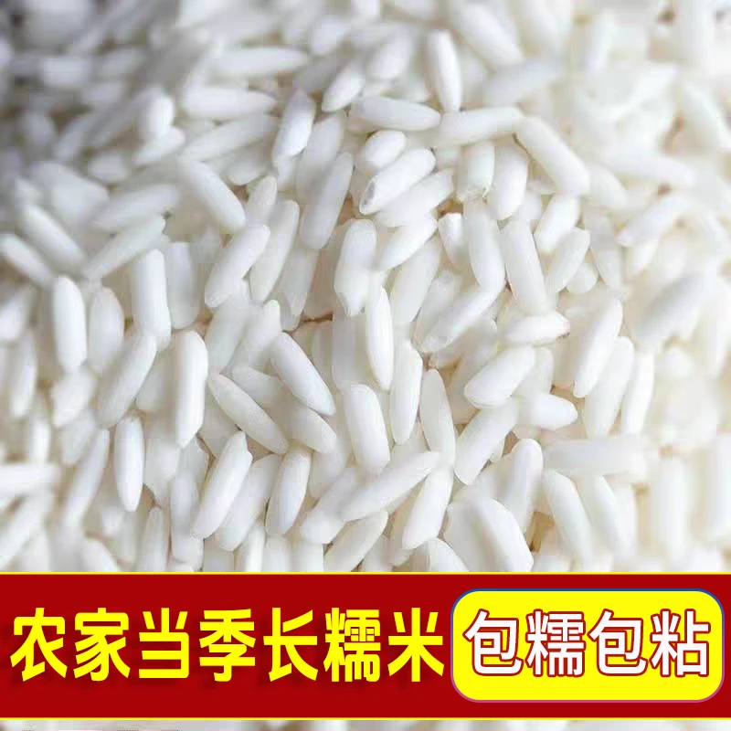 精品农家新长粒糯米香糯包粽子酿酒做饭团江米糯米粥寿司不抛光