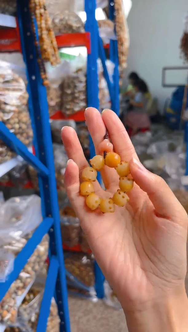 吊坠菩提根/象牙果小章鱼手机挂件