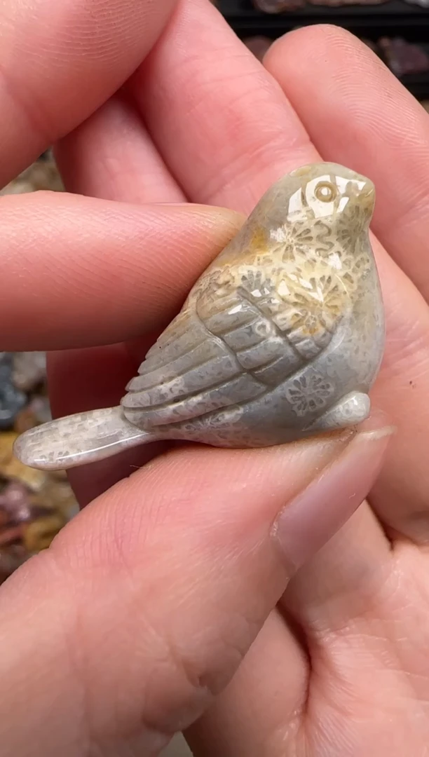 硅化珊瑚（珊瑚玉）未镶嵌颈饰300