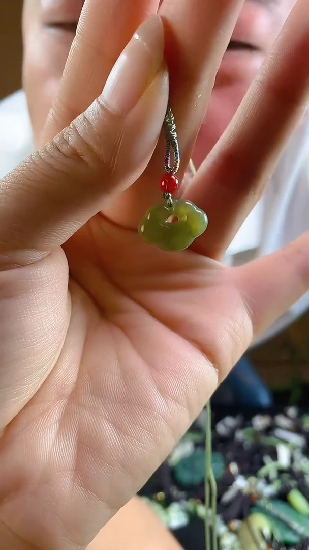 和田玉未镶嵌颈饰多样性发货，拍一发一