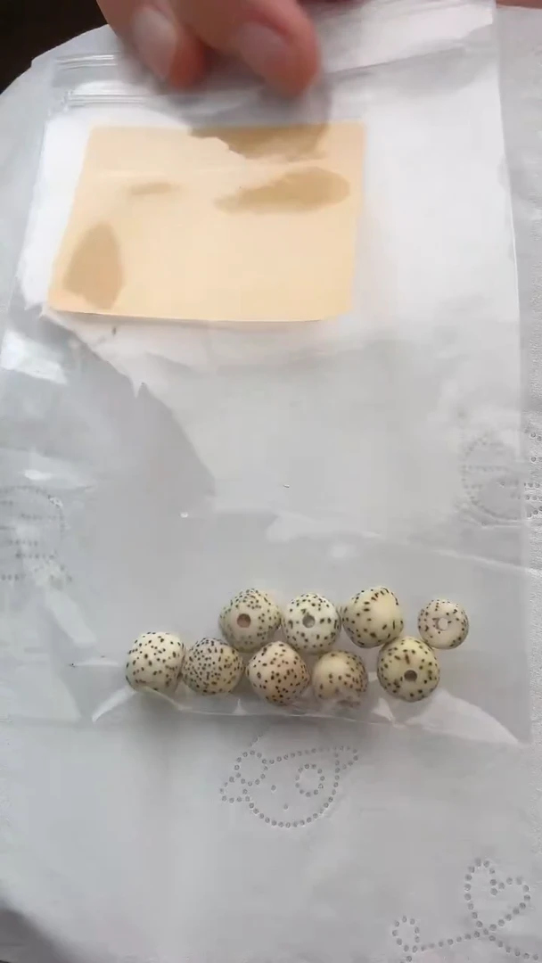 手串星月菩提相**伴相依相伴专拍星月散珠《2