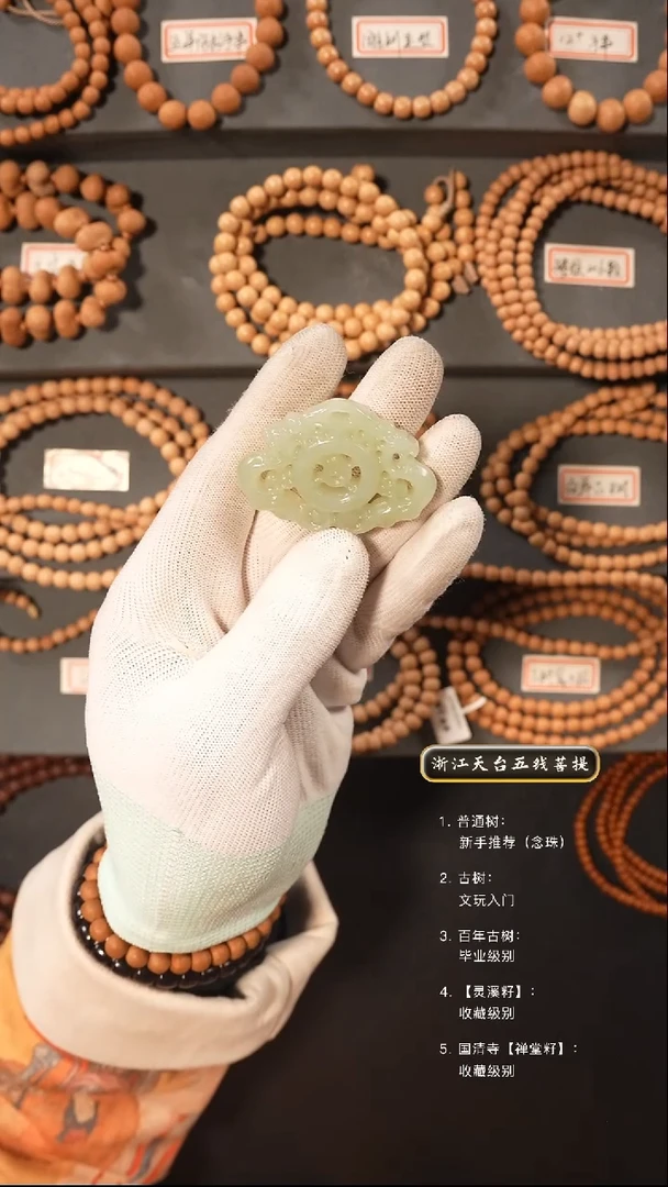 【闪购商品】五线菩提吊坠手串