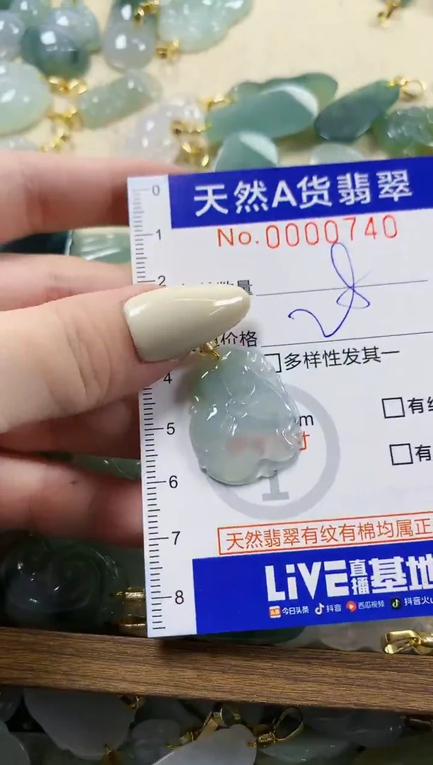 颈饰未镶嵌翡翠天然A货翡翠