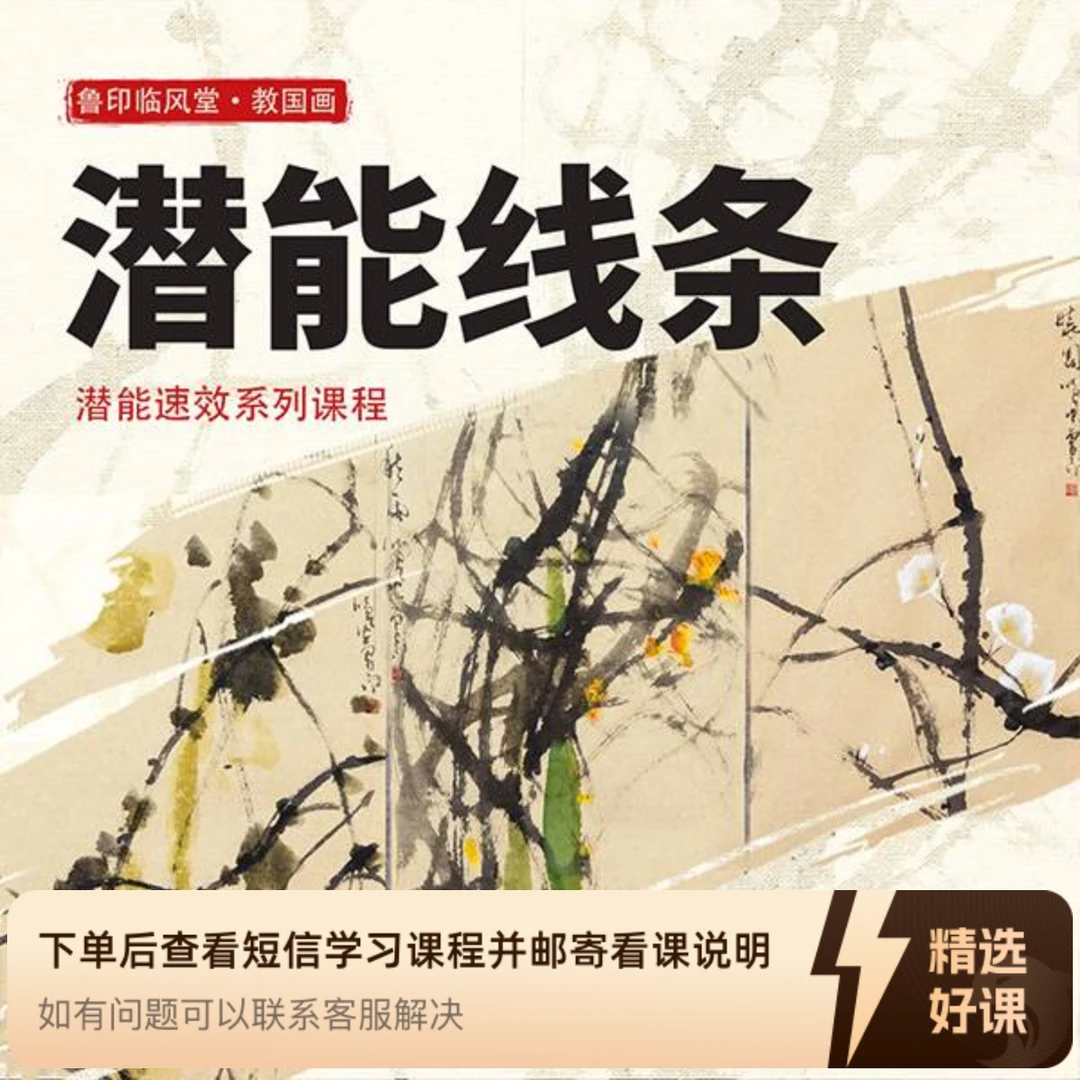 《潜能线条》+随机20张描红纸（留意短信解锁课程）