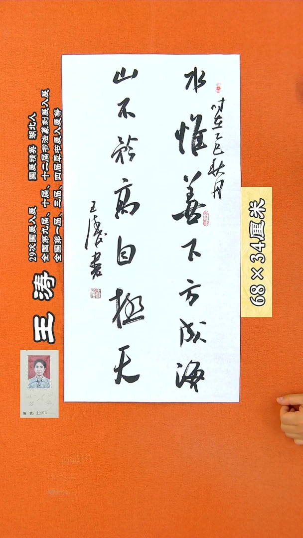 书法56R王涛书法作品