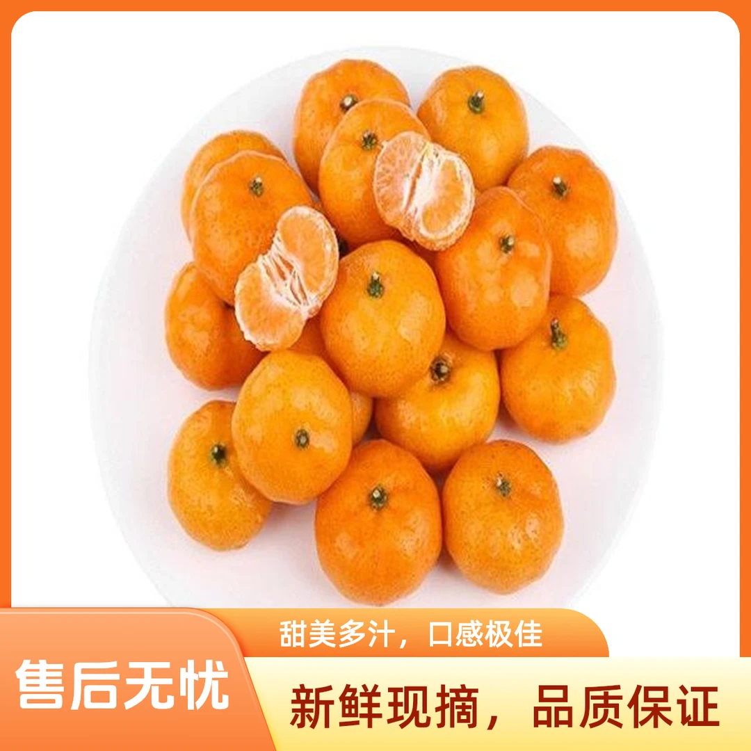 【蜜韵清甜】贡桔500g±20g