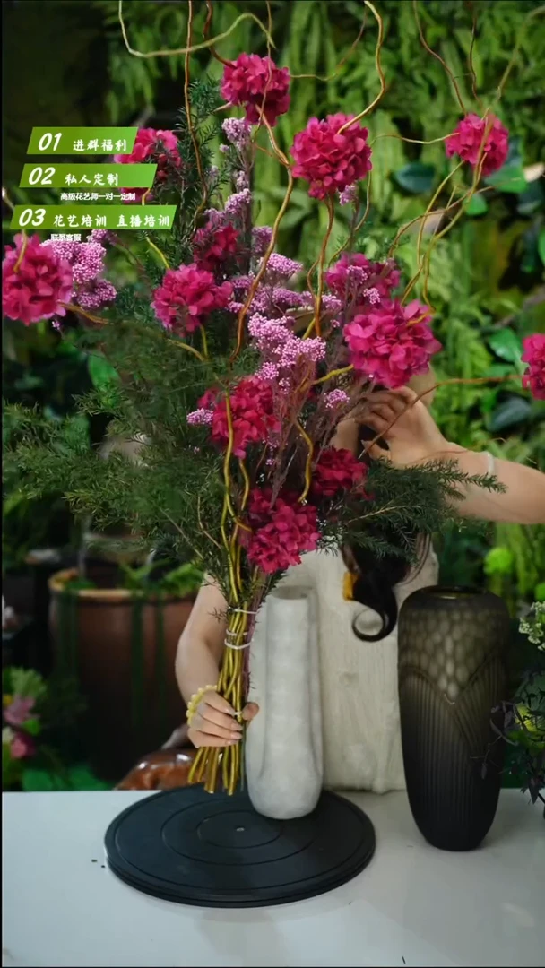 小叶弗洛伊德花单拍花