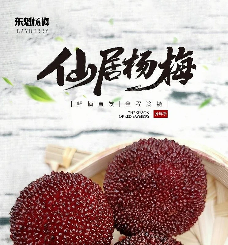 仙居品福高山东魁杨梅