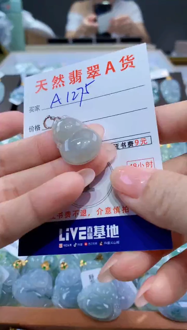 颈饰未镶嵌翡翠天然翡翠A货挂件