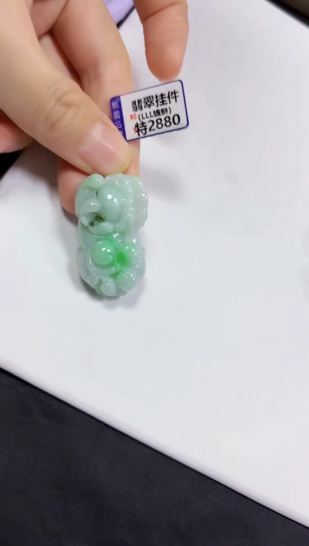 【闪购商品】翡翠颈饰未镶嵌挂件