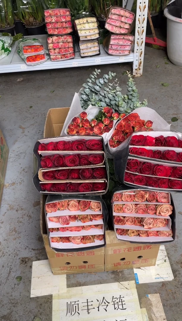 高原红20枝+卡布20枝+巧克力10枝+尤加利