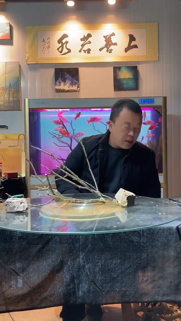 104号天然黄梨木1组适合40缸小米缸