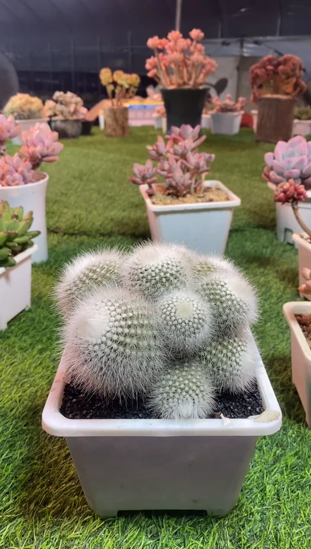 【闪购商品】0713a