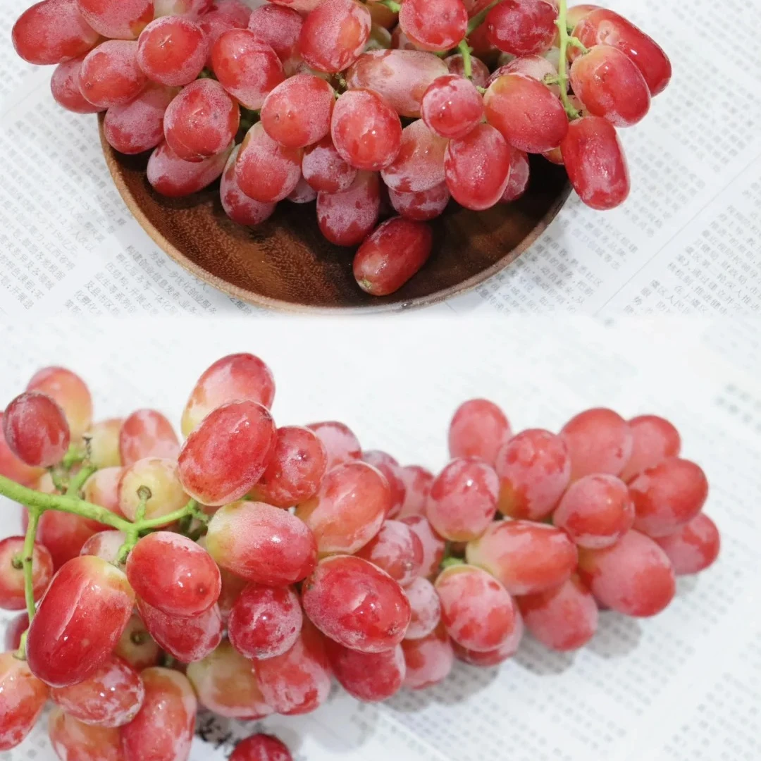 【姜婆甄选】新到克伦生小糖豆  脆甜多汁  净果3.8斤起新疆维吾尔自治区