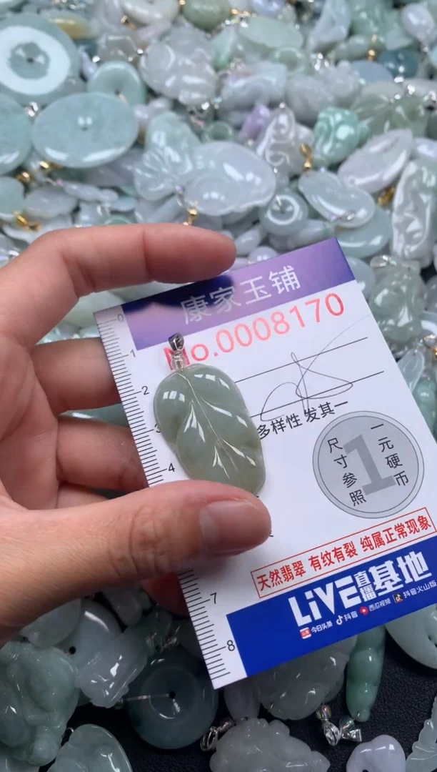 颈饰未镶嵌翡翠8170