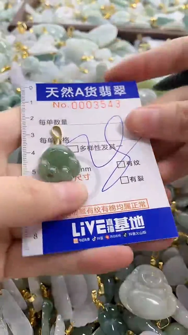 颈饰未镶嵌翡翠天然A货翡翠