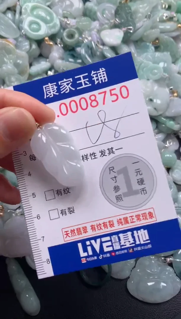 颈饰未镶嵌翡翠8751