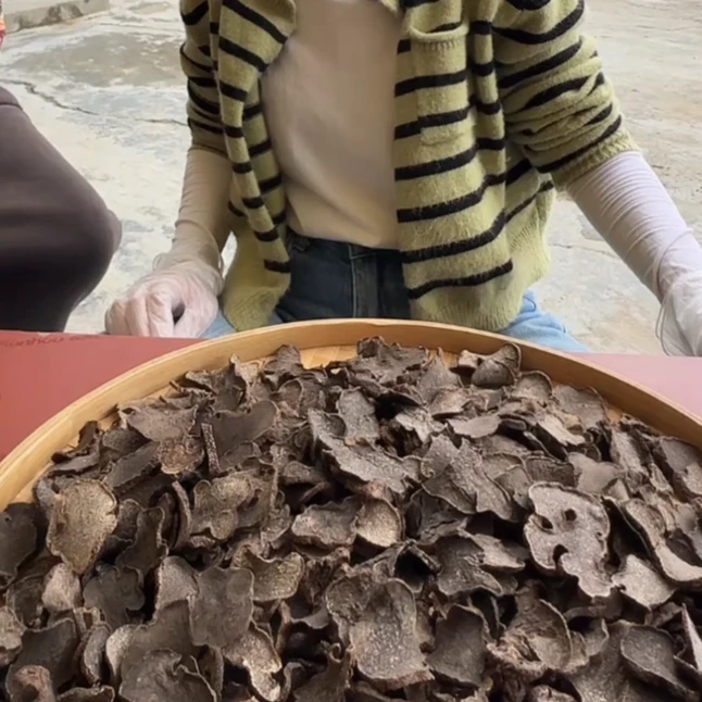 【野生黑松露王】