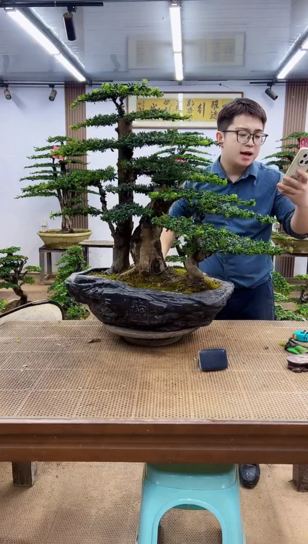 无花朵一物一拍，所见即所得