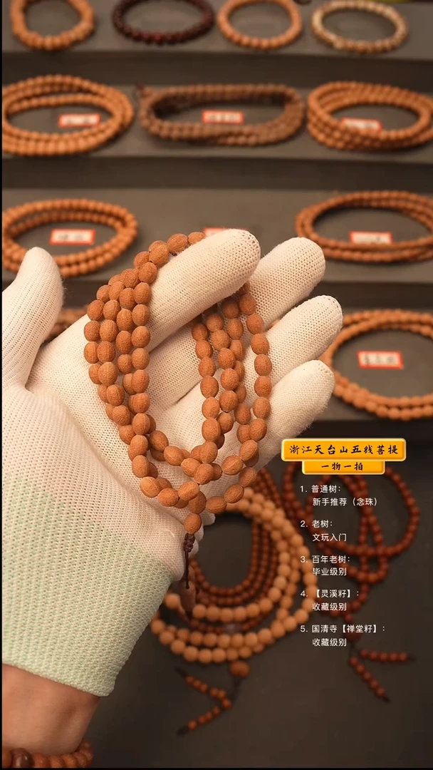 吊坠五线菩提康*y脖挂