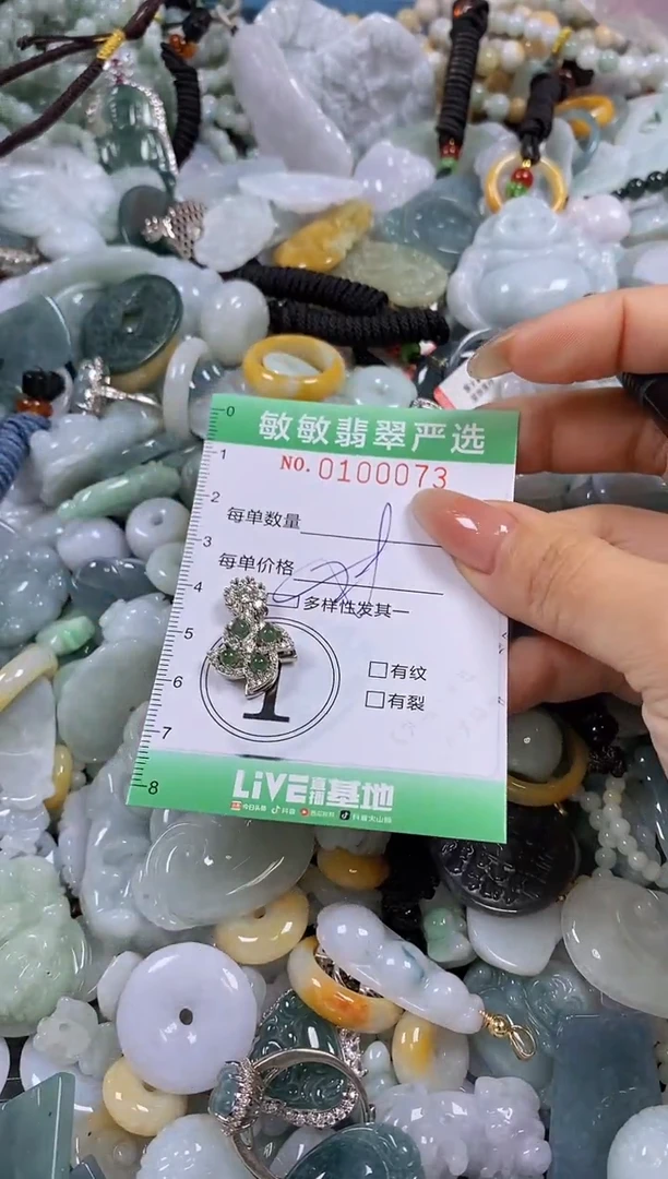 【闪购商品】翡翠颈饰未镶嵌闪购0100073多样性发其一