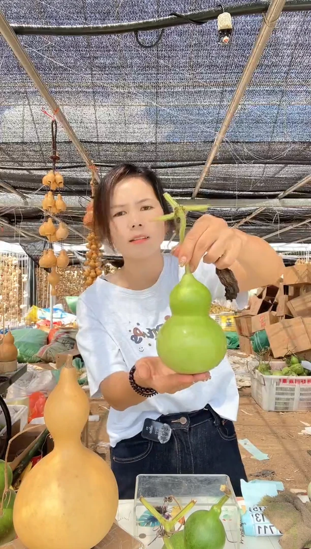 708天然葫芦摆件 一物一拍龙头不保售后
