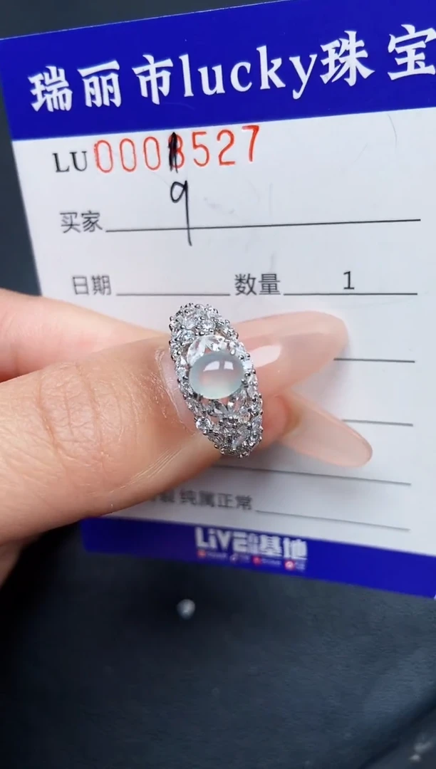 【闪购商品】翡翠颈饰银S925镶嵌9527