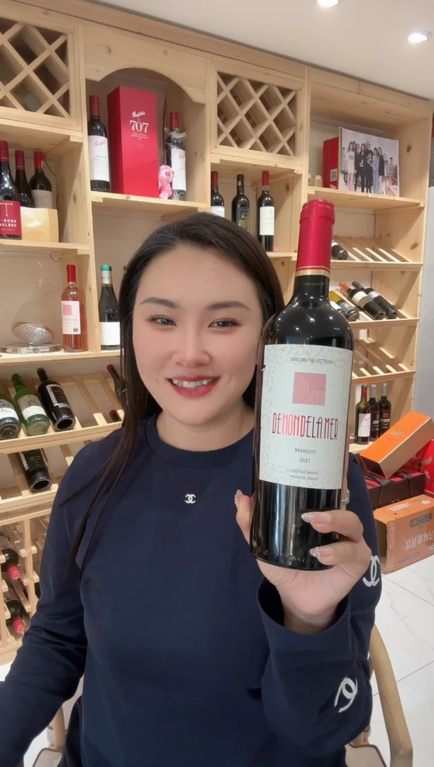 智利美乐干红原装原瓶进口葡萄酒损标福利