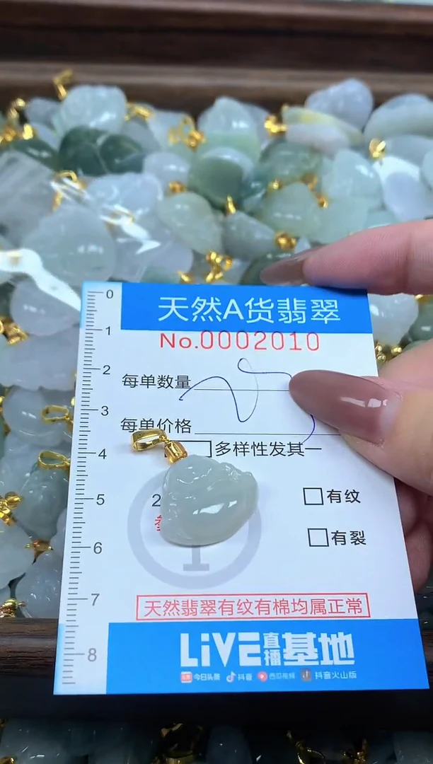 颈饰未镶嵌翡翠净货挂件-2010