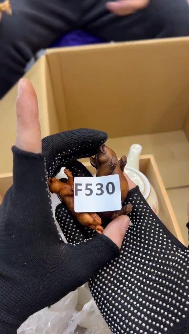 拾****c530中古商品谨慎参拍