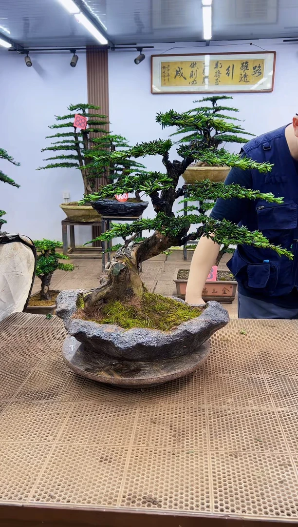 无花朵一物一拍，所见即所得